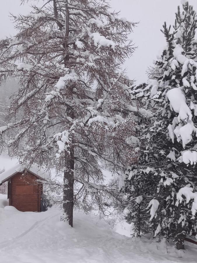 Appartement Montagne- Le Petit Chaillol Saint-Michel-de-Chaillol Exteriör bild